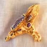 amethyst-house-ring (3)-lc